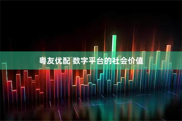 粤友优配 数字平台的社会价值