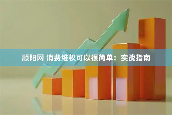 顺阳网 消费维权可以很简单：实战指南