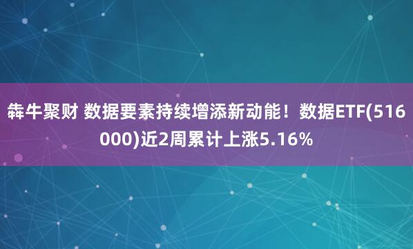 犇牛聚财 数据要素持续增添新动能！数据ETF(516000)近2周累计上涨5.16%